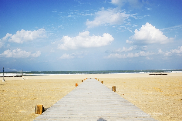 Product picture The Beauty of a Lankan Beach.........